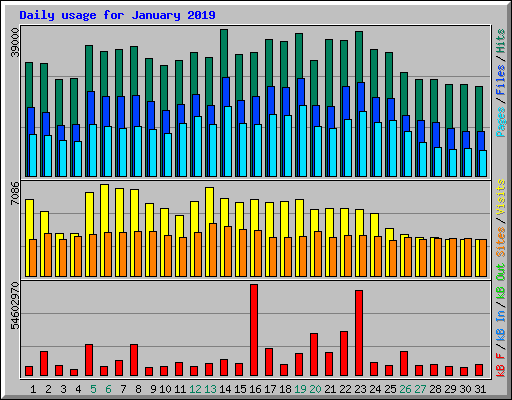 Daily usage for January 2019