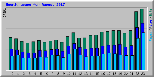 Hourly usage for August 2017