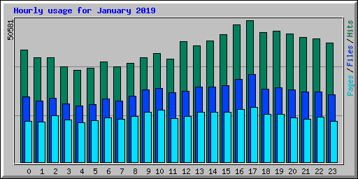 Hourly usage for January 2019