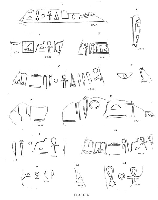 PLATE V