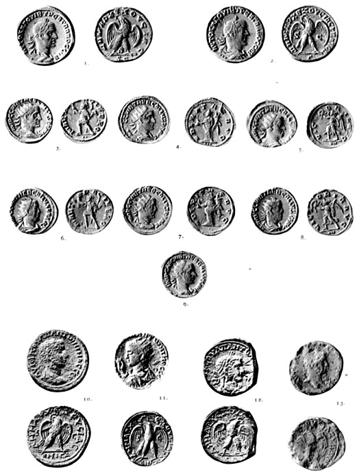 Plate VIII.