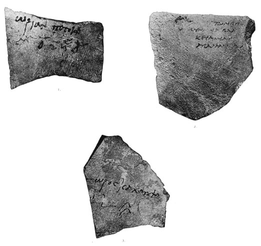  Berytus Volume 8, Plate IX