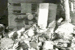 (A frame from the film)