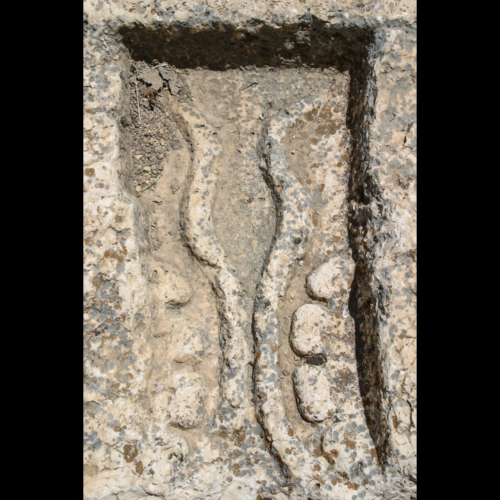 Roman ruins at Baalbak, 2003-2004