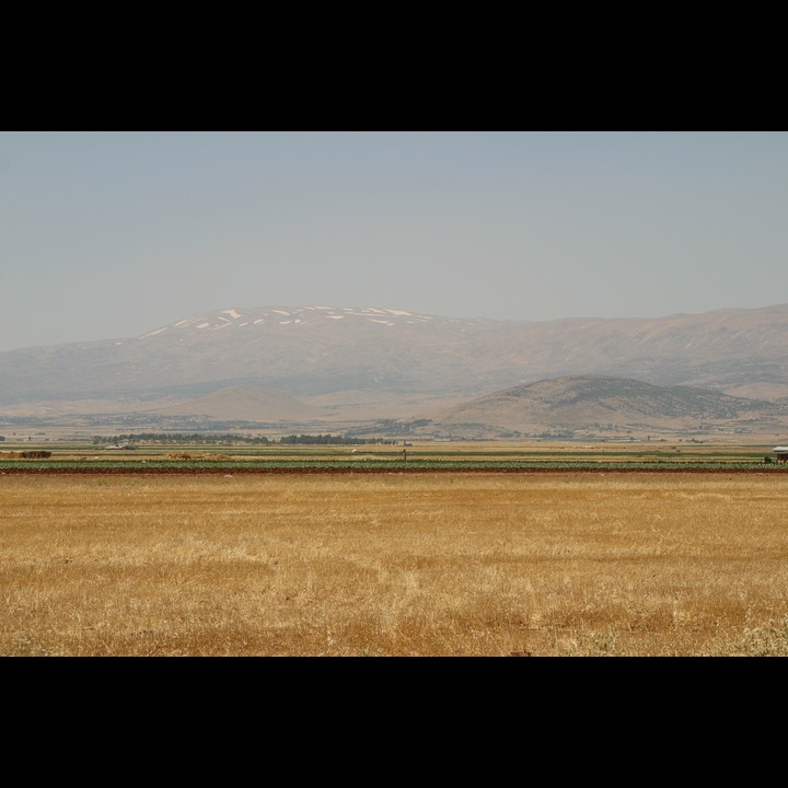 The Beqaa Valley, 2003 - 2006