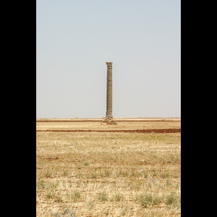 The Beqaa Valley, 2003 - 2006