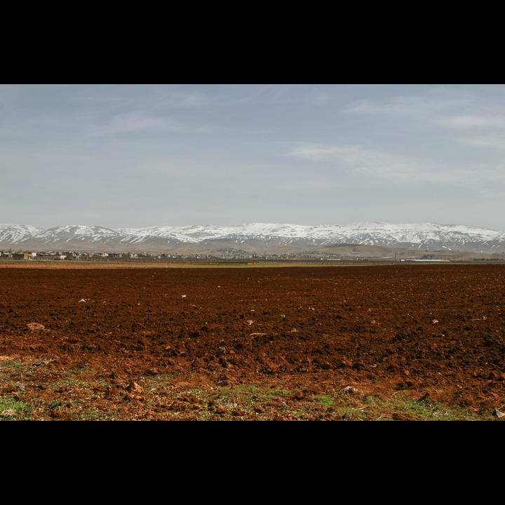 The Beqaa Valley, 2003 - 2006
