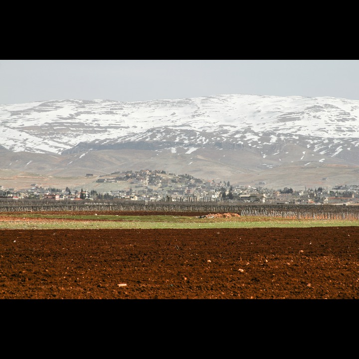 The Beqaa Valley, 2003 - 2006