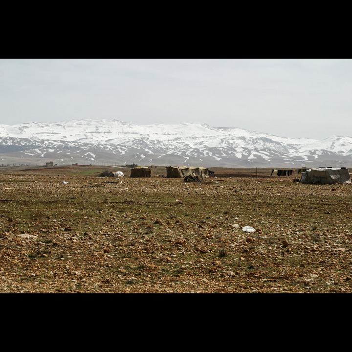 The Beqaa Valley, 2003 - 2006