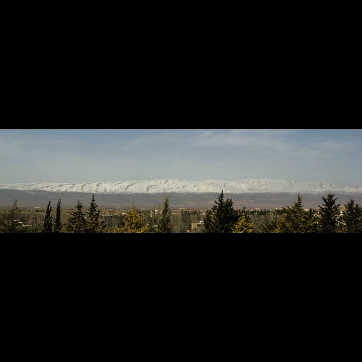 The Beqaa Valley, 2003 - 2006
