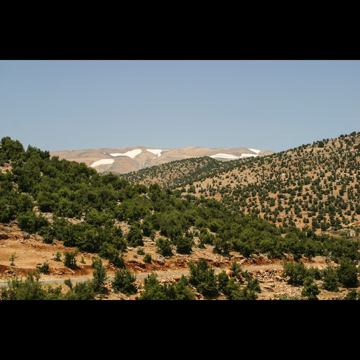 Yamoune, 2003