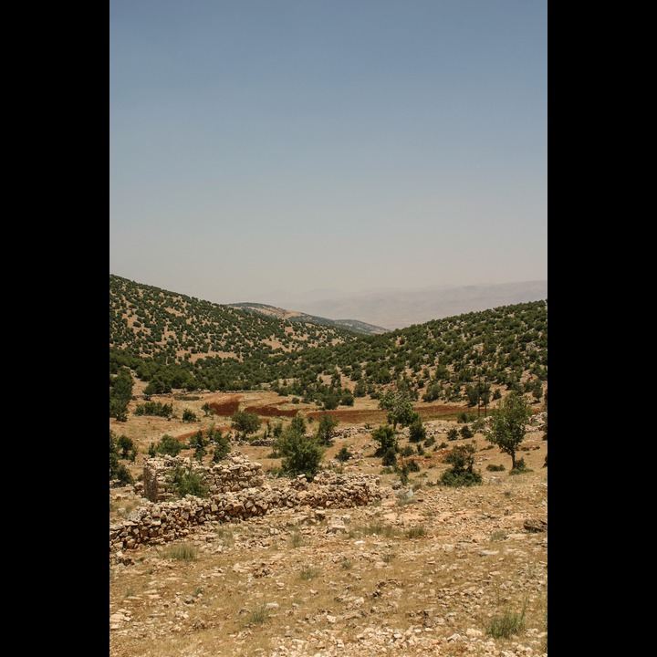 Yamoune, 2003