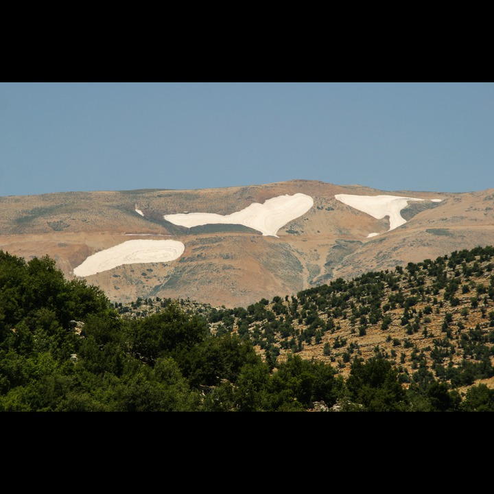 Yamoune, 2003