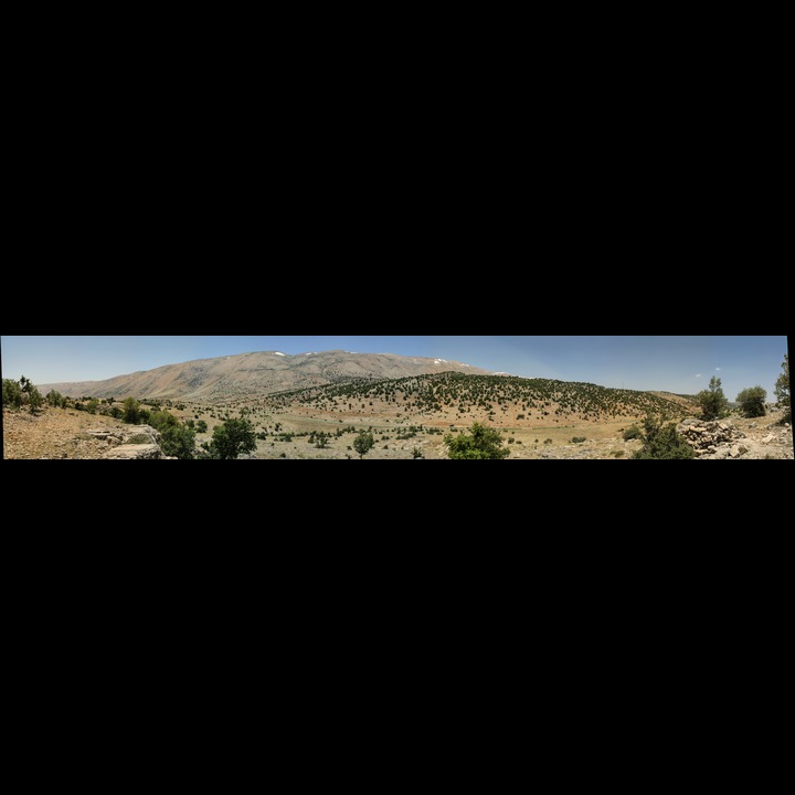 Yamoune, 2003