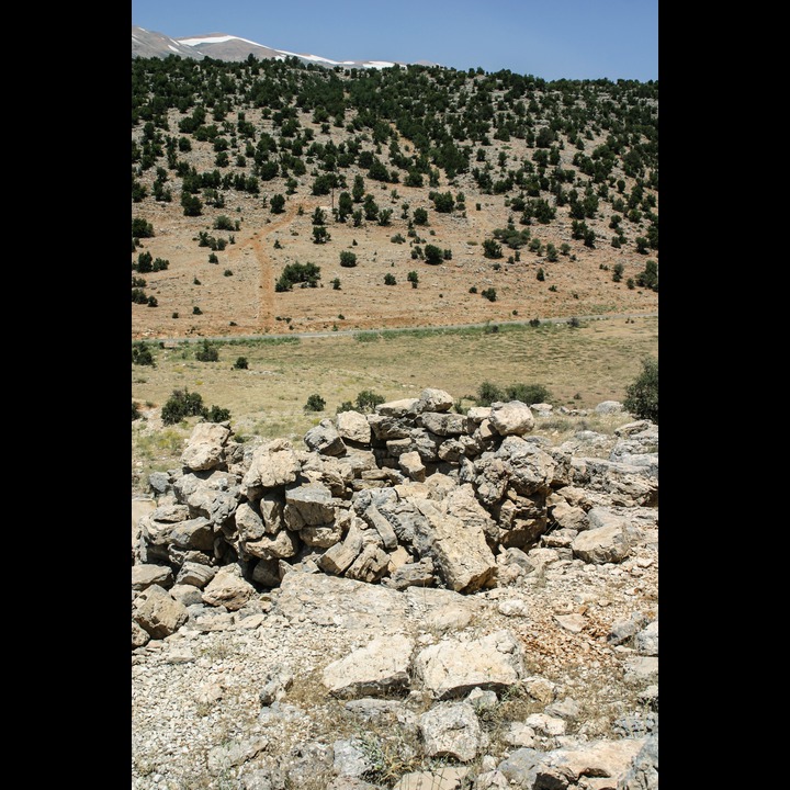 Yamoune, 2003