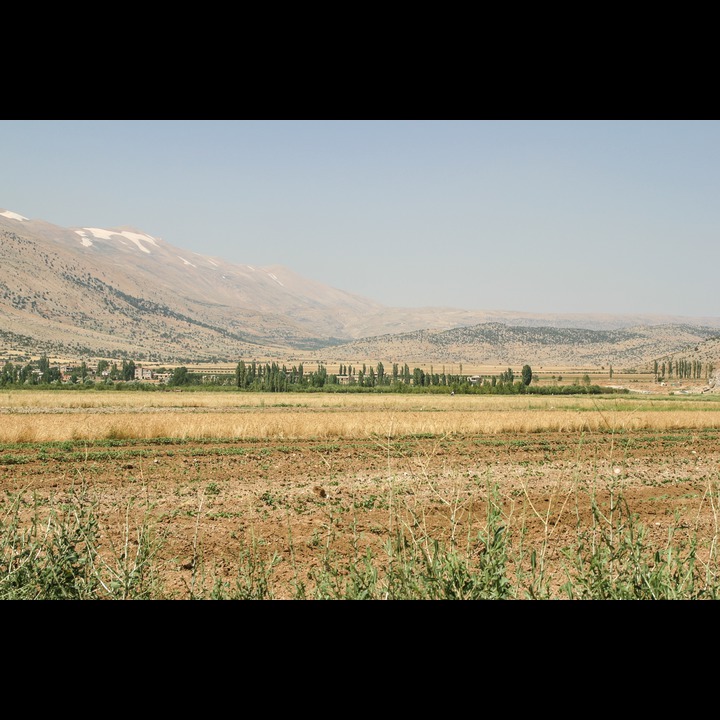 Yamoune, 2003