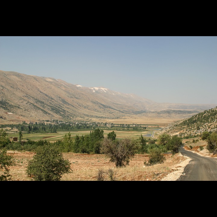 Yamoune, 2003