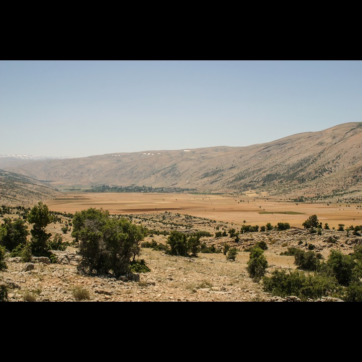Yamoune, 2003