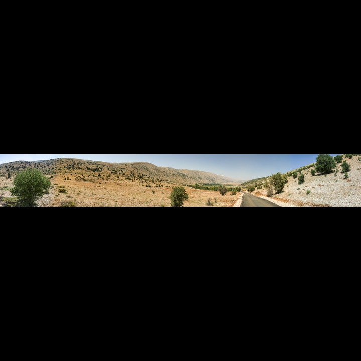 Yamoune, 2003