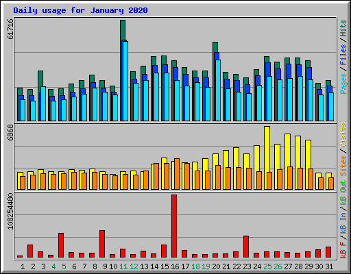 Daily usage for January 2020