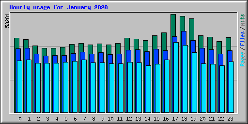 Hourly usage for January 2020