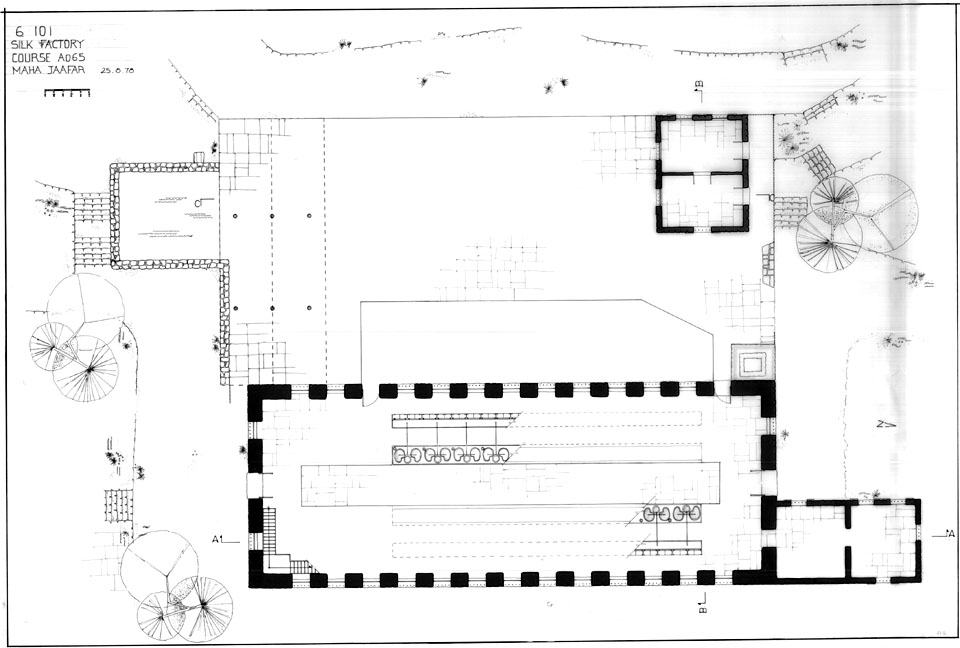 main plan