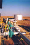 QRpumph3.jpg (26176 bytes)