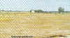 QSguesth.JPG (26488 bytes)