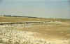 tapline.jpg (38444 bytes)